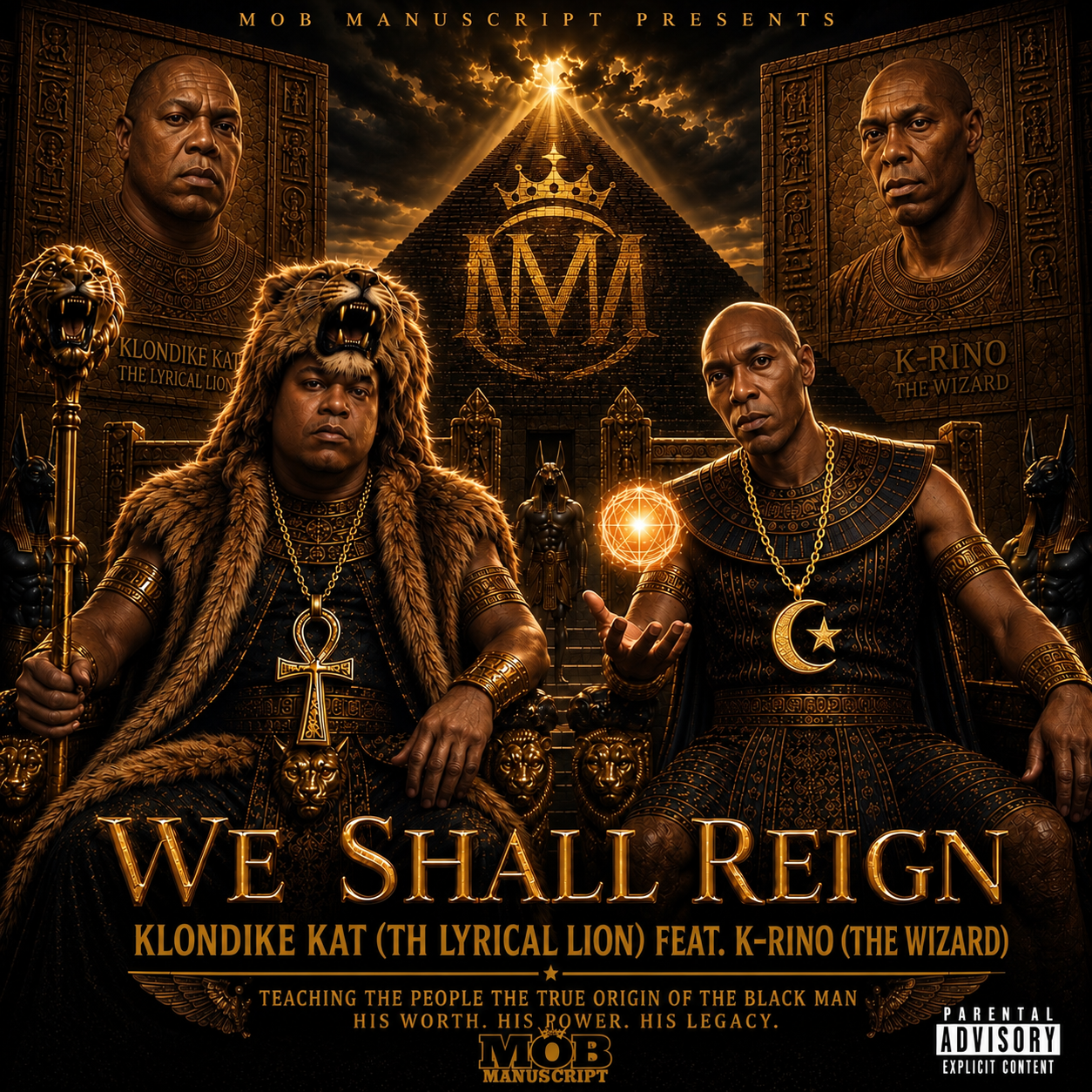 Cover art for We Shall Reign